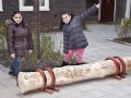IMG 7831x 457