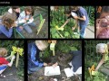 speurtocht collageppt