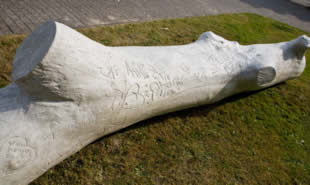 Hartenboom
